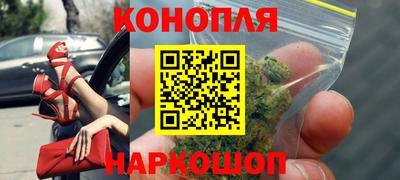 СК Будённовск