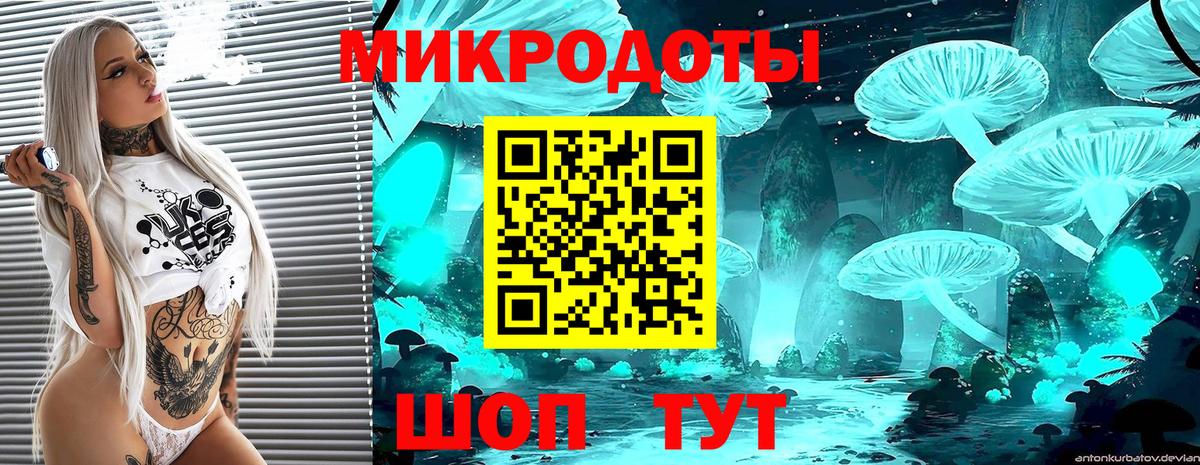 Псилоцибиновые грибы MAGIC MUSHROOMS Чайковский