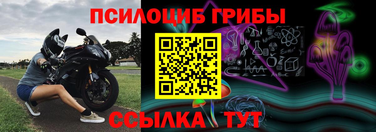 купить наркоту  Галлюциногенные грибы мицелий  Вход с VPN  Чайковский 